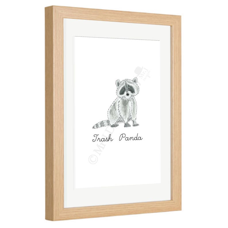 Trash Panda Framed Print Trash Panda Framed Print