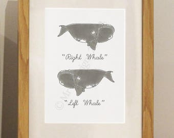 Right Whale, Left Whale Framed Print