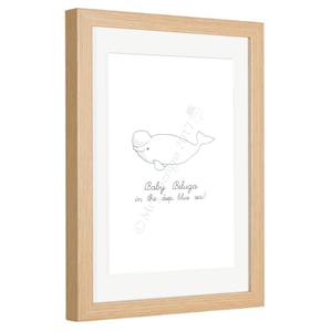 Baby Beluga in the deep blue sea! Framed Print