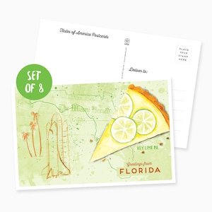 Ensemble de 8 cartes postales illustrées de Floride
