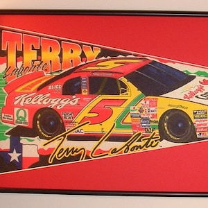 Vintage Nascar Terry Labonte Kelloggs #5 Pennant & Cards...Custom Framed