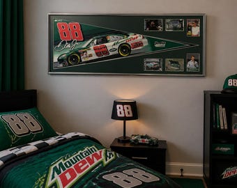 NASCAR driver Dale Earnhardt Jr. Pennant & Cards...Custom Framed!!!!