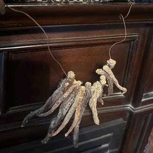 May include: A necklace made of dried, brown, root-like objects strung on a thin, brown cord. The necklace is hanging against a dark brown wooden background, possibly a fireplace mantel.