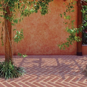 May include: A brick patio with a red-orange wall in the background. The patio is shaded by a wooden pergola and a leafy green vine.