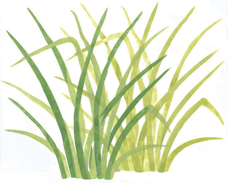 Rainforest Jungle Grass Wall Stencil - Grass Stencil For Wall Rainforest Jungle Grass Wall Stencil - Grass Stencil For Wall