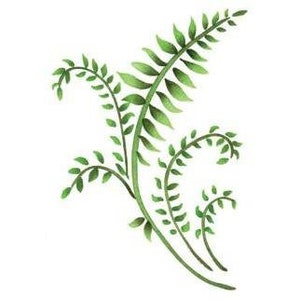 Mini Ferns Wall Stencil | DIY Stencil | Fabric Stencil | Furniture Stencil | Accent Stencil | Drawing Stencil | Designer Stencils |