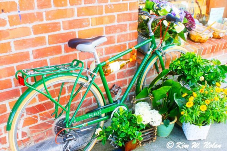 Bicycle with wine bottle photo Bike wine holder Bike Art Etsy