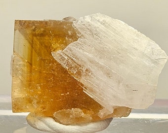 Zentrum Fluorit Würfel mit Celestit Wimpern, fluoreszierendes Mineral