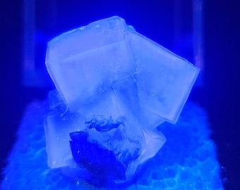 Fluorescent Fluorite Crystal Cluster from Yindu Inner Mongolia, Green with Blue and Purple Phantoms, Comes with Display Case