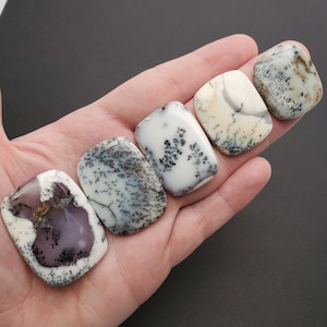 May include: Five white, gray, and black dendritic agate cabochons with a variety of patterns. The cabochons are smooth and polished.