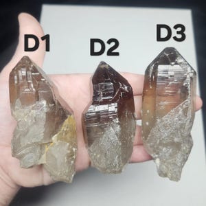 May include: Three raw, natural smoky quartz crystal points. The crystals vary in size and color, ranging from light tan to dark brown. Each crystal is labeled with a black marker: D1, D2, and D3. The crystals are held in a hand.