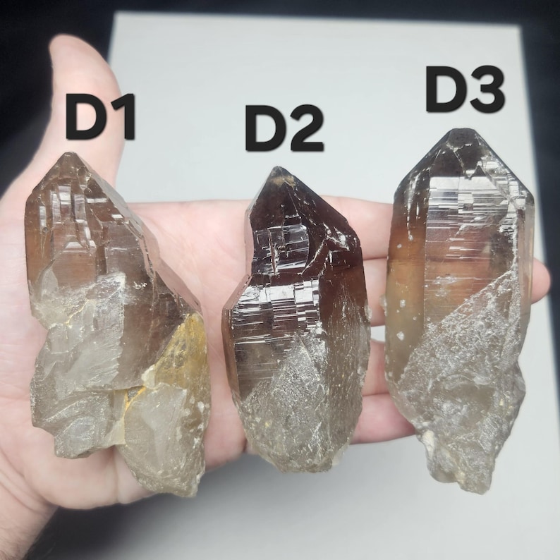 May include: Three raw, natural smoky quartz crystal points. The crystals vary in size and color, ranging from light tan to dark brown. Each crystal is labeled with a black marker: D1, D2, and D3. The crystals are held in a hand.