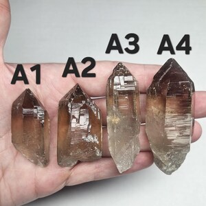 May include: Four brown quartz crystal points labeled A1, A2, A3, and A4. The crystals vary in size and shade, ranging from light to dark brown. The crystals are held in a hand against a white background.