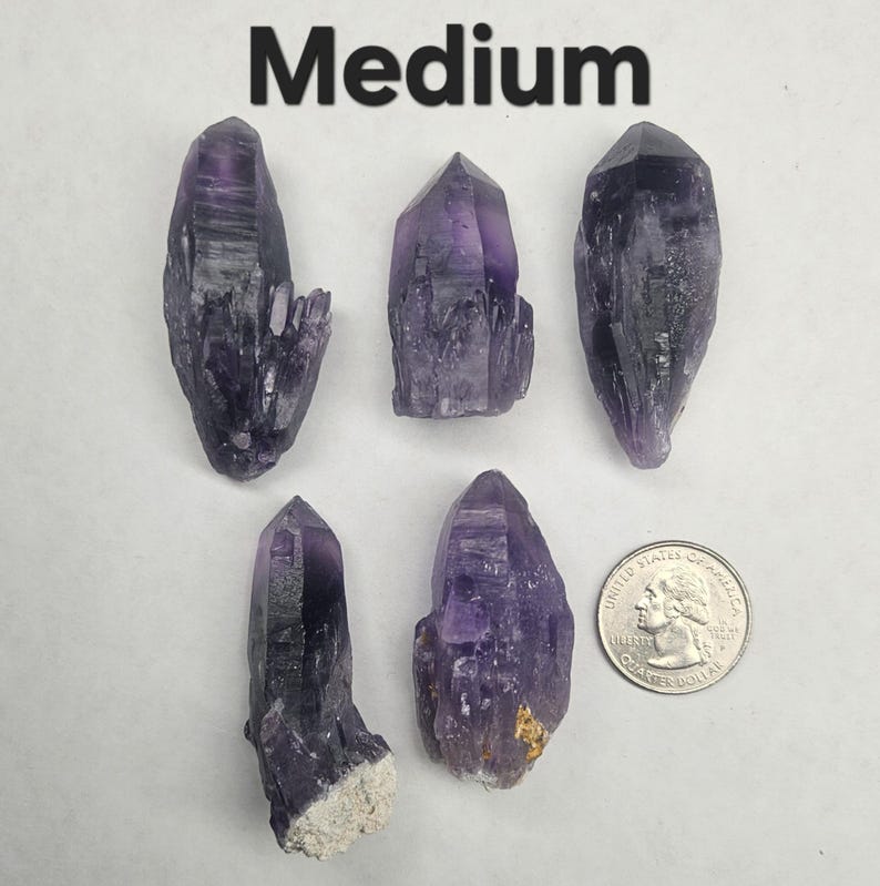 Peut inclure: Cinq pointes de cristaux d'am&eacute;thyste de taille moyenne, de formes et de nuances de violet vari&eacute;es. Une pi&egrave;ce de monnaie am&eacute;ricaine est incluse pour la r&eacute;f&eacute;rence de taille. Le mot "Medium" est imprim&eacute; en grandes lettres noires en haut de l'image.