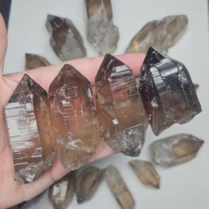 May include: A collection of raw, smoky quartz crystals. The crystals vary in size and shape, with a range of brown and gray hues. Some crystals are held in a hand, while others are scattered on a white surface. The crystals have a natural, rough texture.
