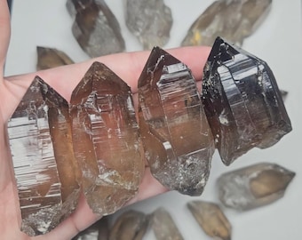Cristal de Cuarzo Catedral Ahumado - Puntas Grandes Terminadas - Ejemplar Mineral Natural de Nigeria - Chakra Raíz