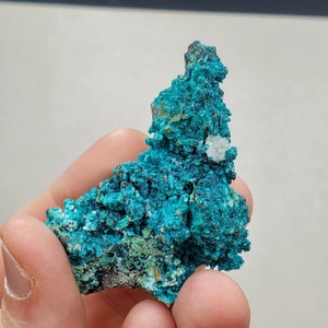 Chrysocolla on Quartz Crystal from Tentadora Mine Peru