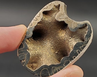 Pyritized Ammonite Fossil Cross Section 188 carats
