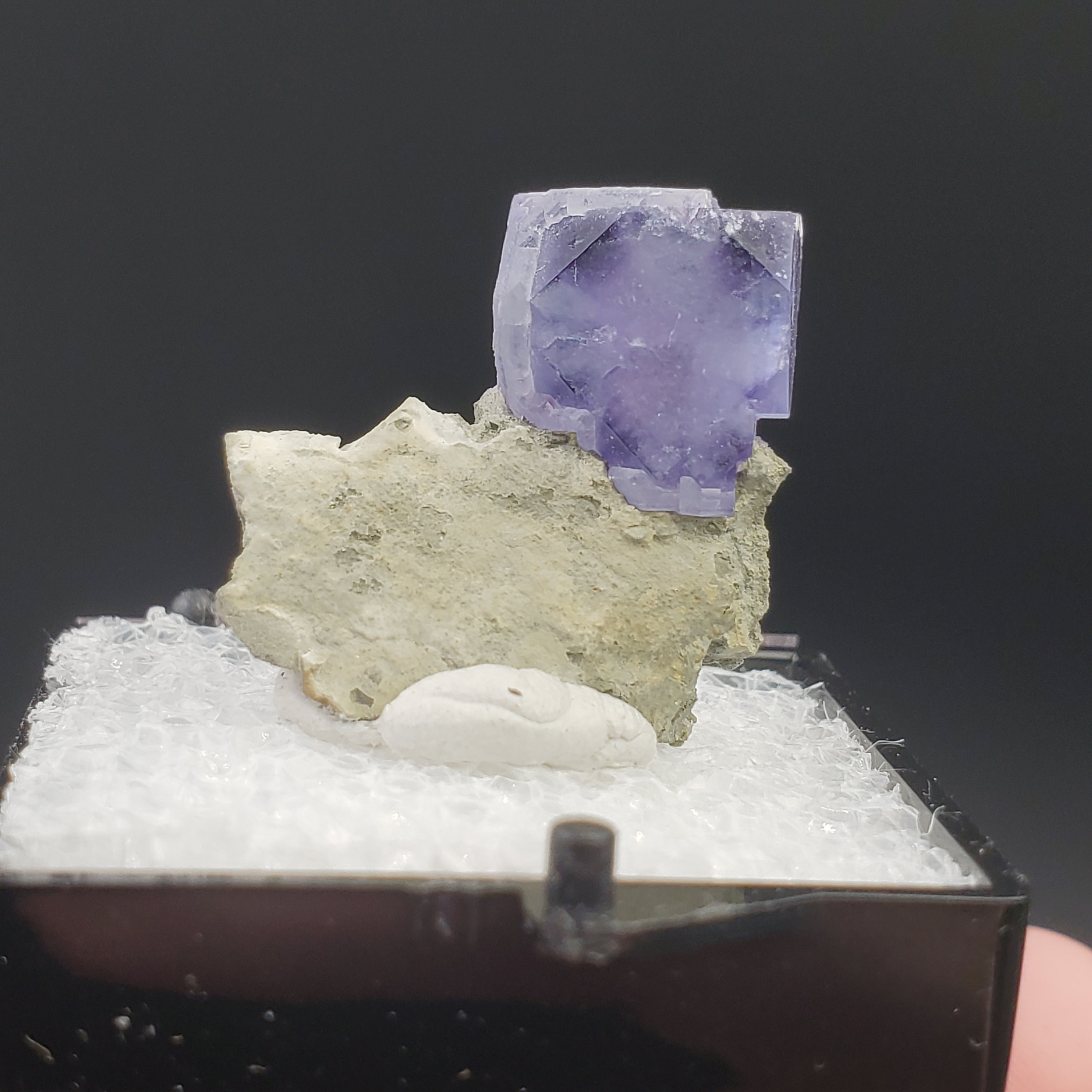 Alien eye fluorite - Etsy 日本