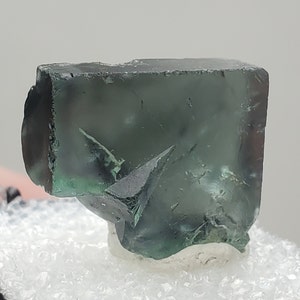 Phantom Fluorite Crystal / FLUORESCENT / Lady Annabella Mine / 10.1 grams / Comes with Display Case