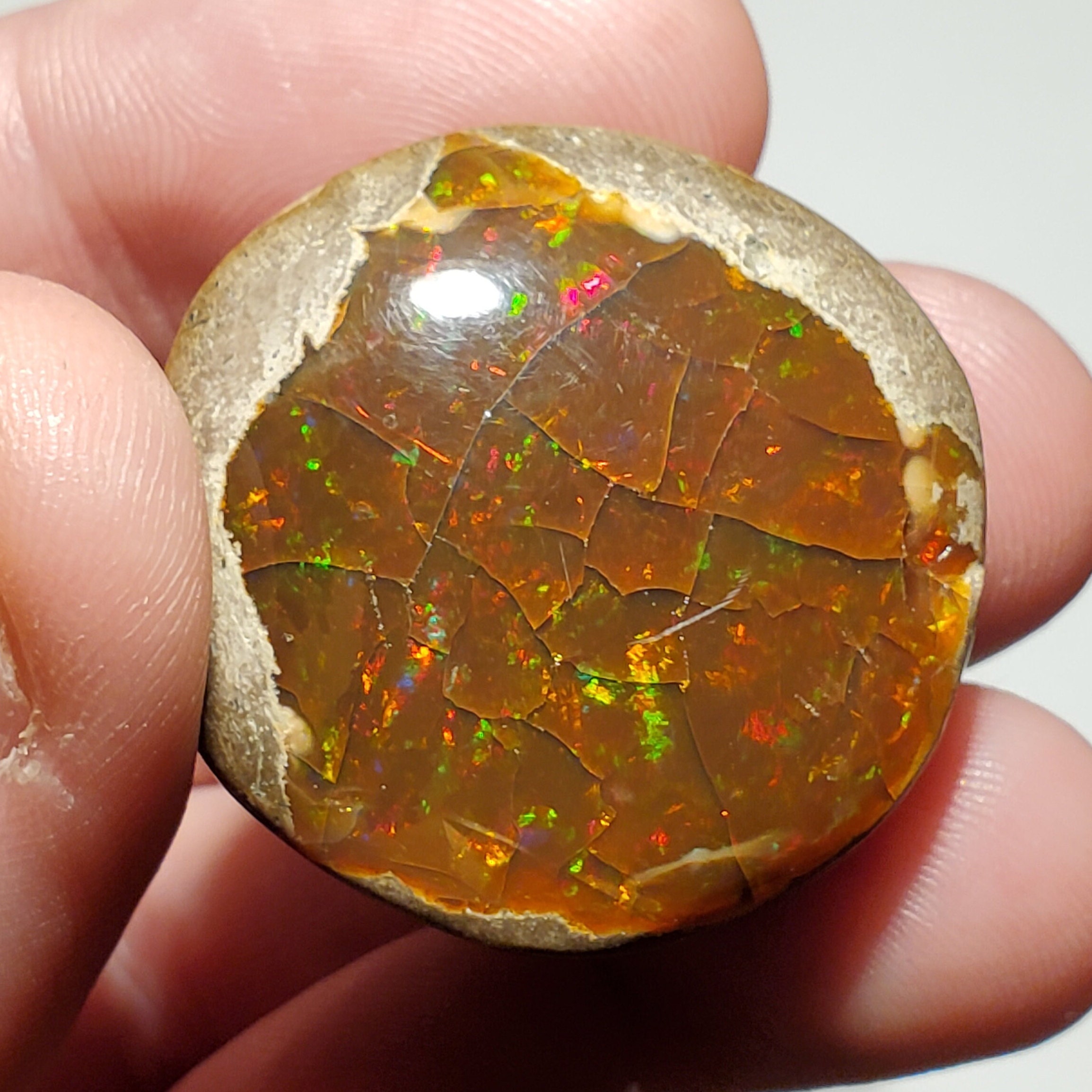 Chocolate opal price sale