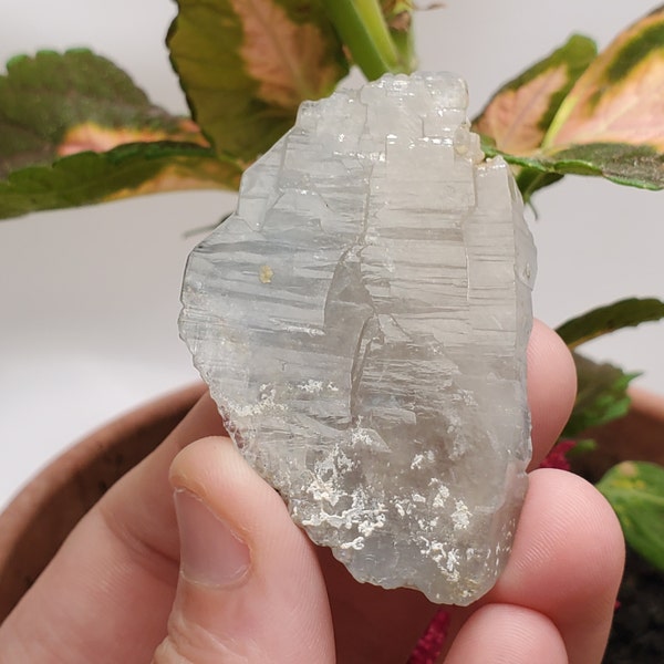 UNIQUE Tabular Elestial Blue Inclusion Quartz Crystal from Afghanistan, NATURAL, 25.5 grams