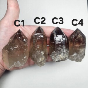 May include: Four smoky quartz crystal points, labeled C1, C2, C3, and C4. The crystals are various shades of brown and have a natural, rough texture at the base. The crystals are held in a hand against a white background.