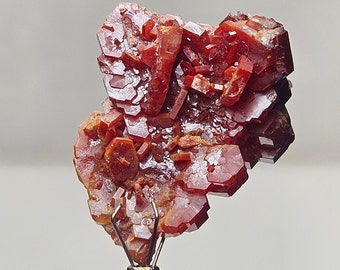 Clúster de cristal de vanadinita con tolva ÚNICA, vanadinita roja bicolor brillante y marrón, Marruecos, 21 gramos
