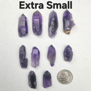 Peut inclure: Plusieurs cristaux d'am&eacute;thyste extra petits de diff&eacute;rentes formes et nuances de violet. Ils sont pr&eacute;sent&eacute;s sur une surface blanche, avec une pi&egrave;ce de monnaie pour l'&eacute;chelle. Le texte "Extra Small" est en haut.
