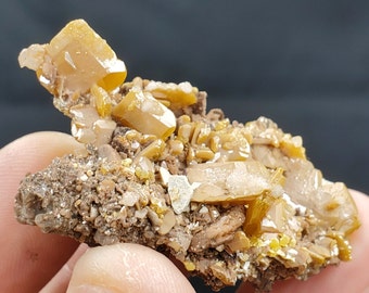 ウルフェナイト ミメタイト 共生標本 メキシコ産 / 原石 天然石 鉱物標本 ウルフェナイト ミメタイト 共生標本 メキシコ産 / 原石 天然石