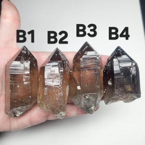 May include: Four smoky quartz crystal points, labeled B1 through B4, are held in a hand. The crystals are various shades of brown and have a natural, rough base. The crystals are pointed at the top.