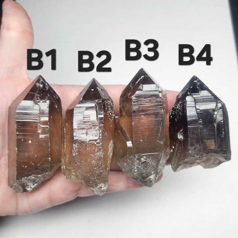 May include: Four smoky quartz crystal points, labeled B1 through B4, are held in a hand. The crystals are various shades of brown and have a natural, rough base. The crystals are pointed at the top.