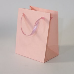 Extra petits sacs en papier cadeau rose avec poignées en ruban pack de 10 sacs