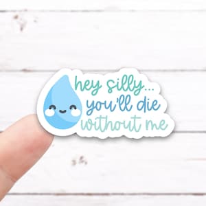 Hey Silly...You'll DIE WITHOUT ME Vinyl Decal (I041)