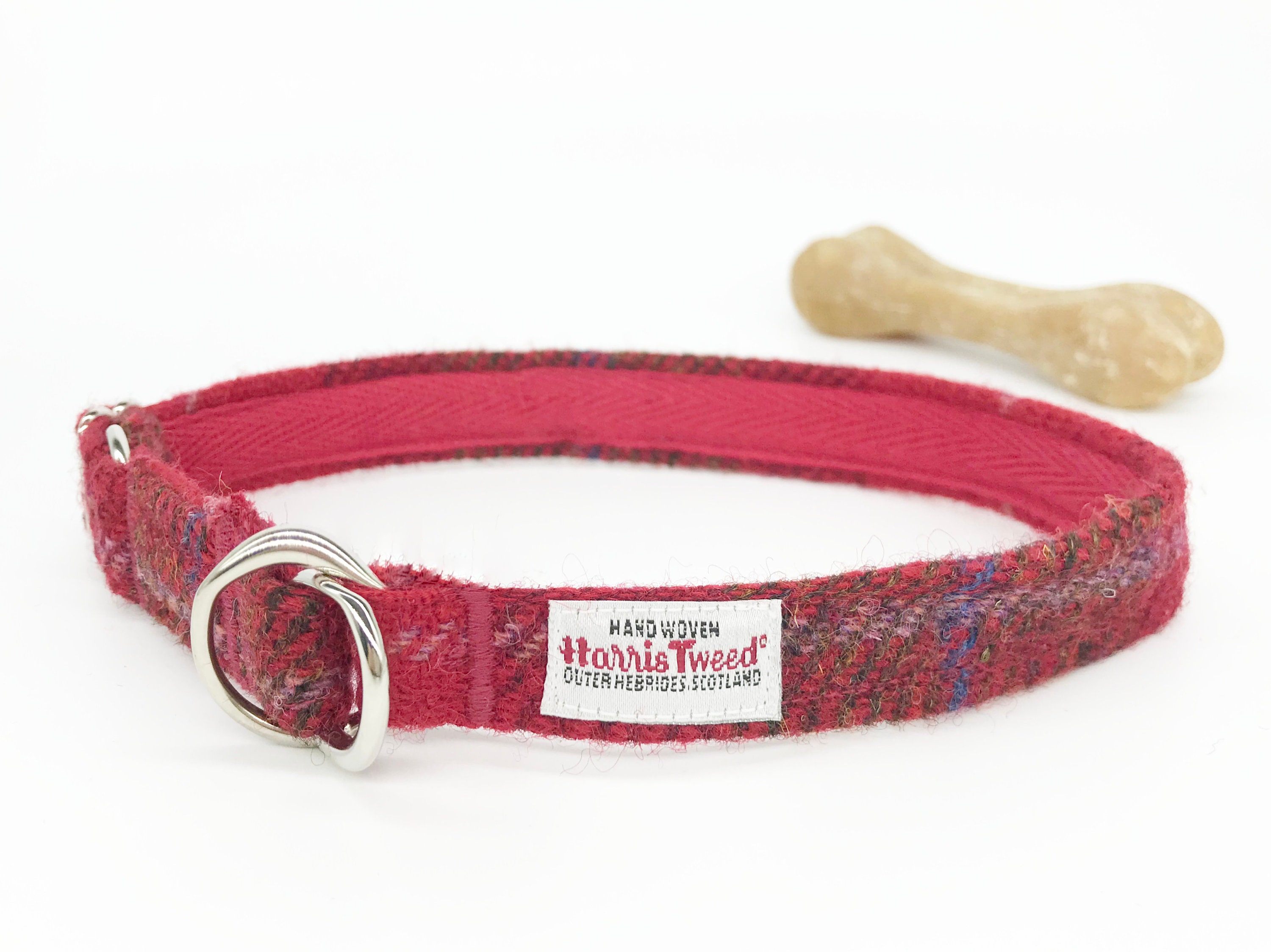 golden retriever in backpack