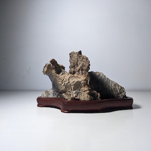Natural Gobi Scholar's Stone Suiseki – Desert Wind Carved Rock Displayed by Rosewood stand