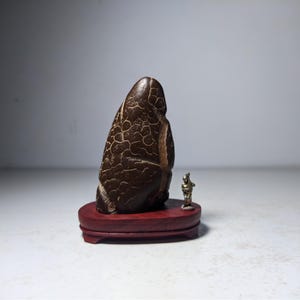 May include: A dark brown, vertically oriented stone with a distinct light-colored, web-like crack pattern across its surface. The stone is mounted on a polished, oval-shaped reddish-brown wooden base, accompanied by a small, metallic figurine.