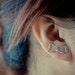 see more listings in the Silver Ear Climbers section