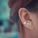 see more listings in the Silver Ear Climbers section