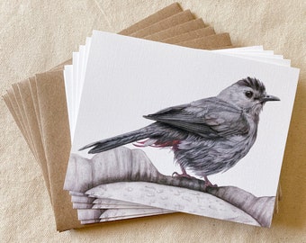 Gray Catbird Note Cards