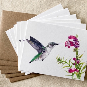 May include: A set of blank greeting cards featuring a watercolor illustration of a hummingbird hovering near a pink flower. The cards are packaged in a brown envelope.