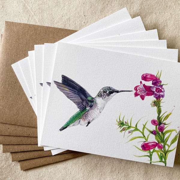 Female Ruby-throated Hummingbird Note Cards