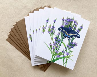 Black Swallowtail Butterfly Note Cards - Etsy