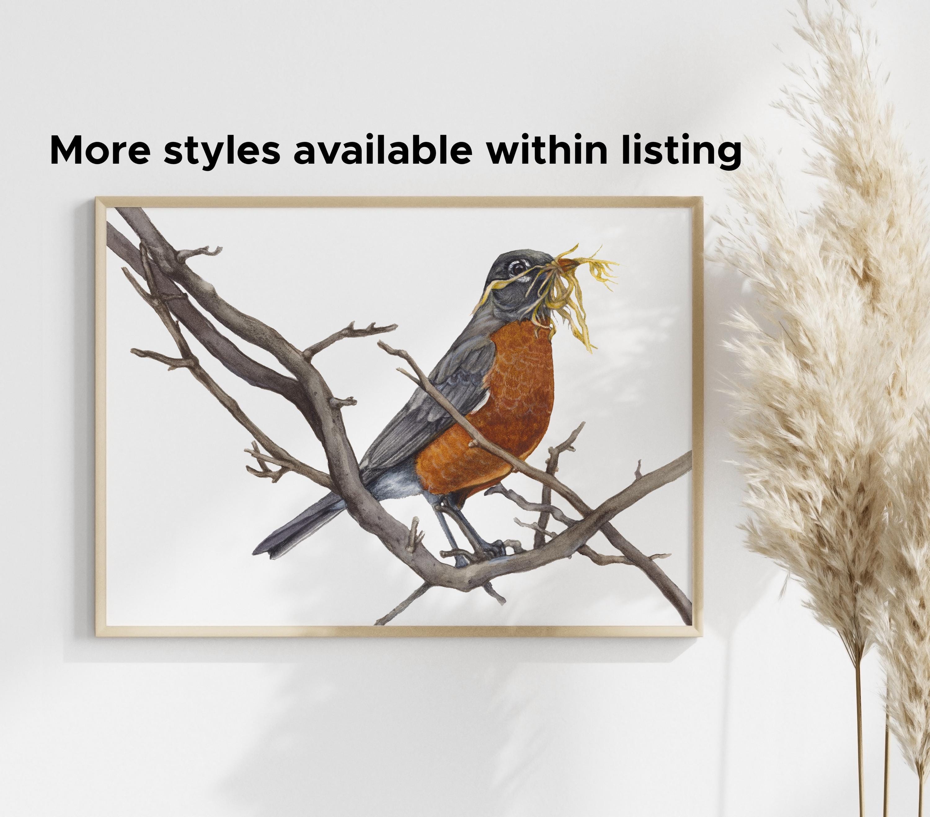 Goldfinchbody as artexquisite