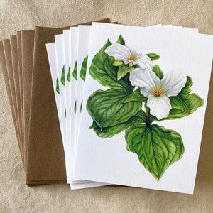 White Trillium Note Cards