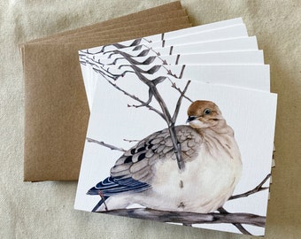 Mourning Dove Cards