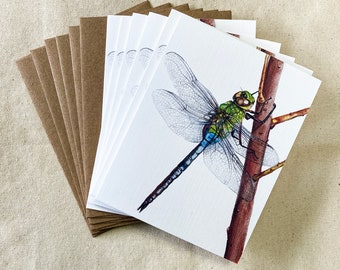 Green Darner Dragonfly Note Cards