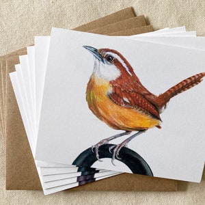 May include: A set of blank greeting cards featuring a watercolor illustration of a brown and yellow bird perched on a black branch. The bird has a white throat and a long tail.