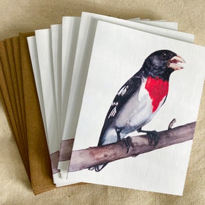 Rose-Breasted Grosbeak Note Cards