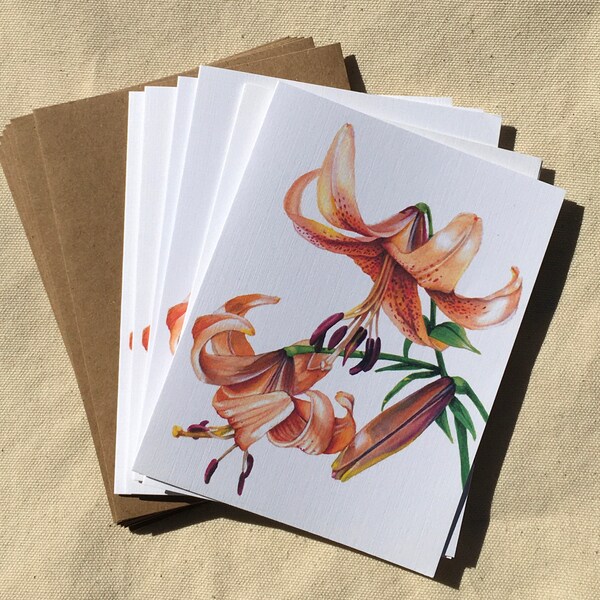 Tiger Lily Botanical Note Cards